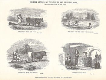, Gravures, ,  